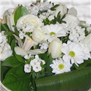 https://bonovo.isisflor.com/fileuploads/Produtos/Bouquets e Ramos/thumb__Bouquet_inspiracao_02.jpg